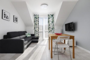 Dwupiętrowy Apartament Beskid View